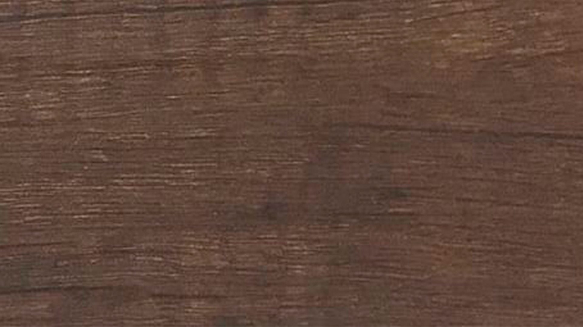 canyo walnut